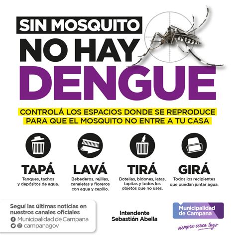 dengue puerto rico 2024